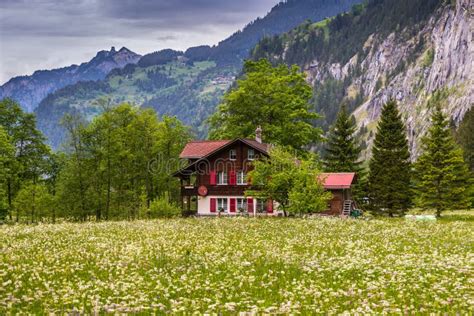 Farm House In Flower Field Switzerland Overcast Spring Day Editorial