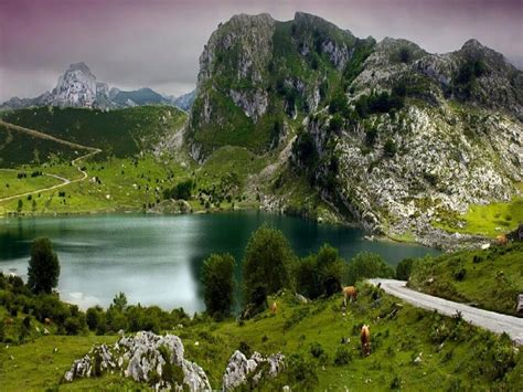 Picos De Europa Mountains Spain Places Ive Been Places To See