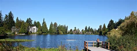 Shoreline Area News: Photos: Echo Lake