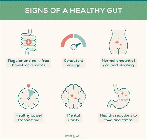 Signs Of A Healthy Gut Everlywell
