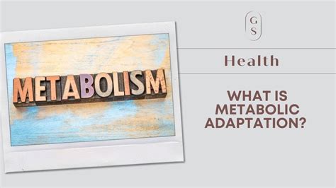 What Is Metabolic Adaptation
