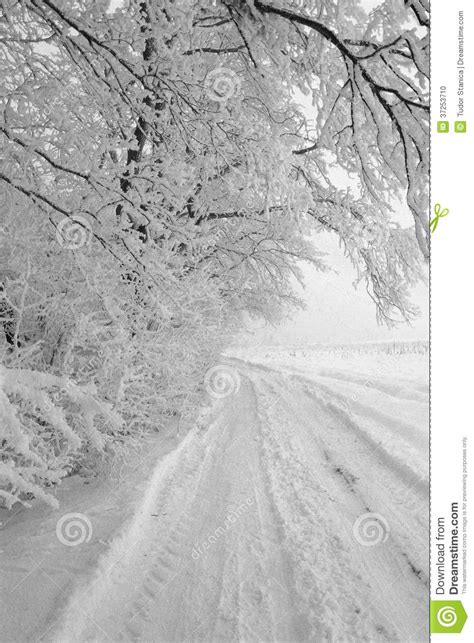 Winter Road Stock Photo Image Of Landscape Season White 37253710