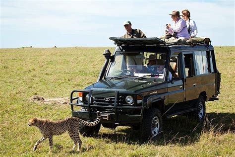 Maasai Mara National Reserve 4x4 Self Drive And Guided Tours