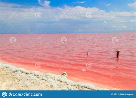 View Of Pink Salty Syvash Lake In Kherson Region Ukraine Stock Photo