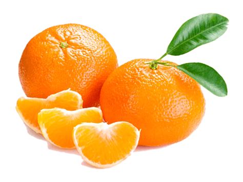 Mandarin orange - MYTH Trade