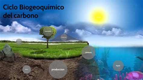 Ciclo Biogeoquimico Del Carbono By Jeronimo Llamas On Prezi