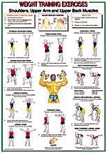 Exercises adaptable to most home gyms i really like the laminated item which i put velcro on the back and it works next to our weight total. Arm and Shoulder Workout Chart | Shoulder workout, Workout ...