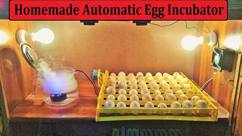 How To Make Full Automatic Egg Incubator At Home Homemade Automatic Egg Incubator For Hatching