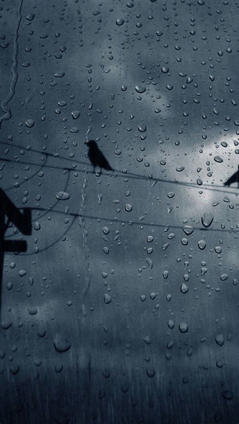 100 Beautiful Rain Pictures