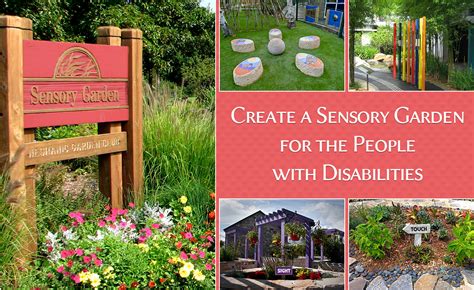 Sensory Gardens For Disabled Or Divyang Or Physically Challenged People