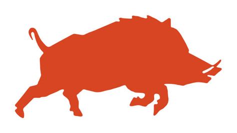 Wild Hog Clipart 10 Free Cliparts Download Images On Clipground 2023