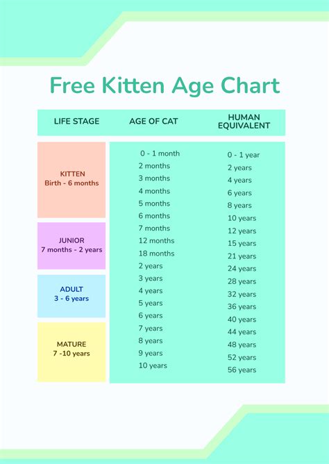 Kitten Age Chart Template - Edit Online & Download Example | Template.net