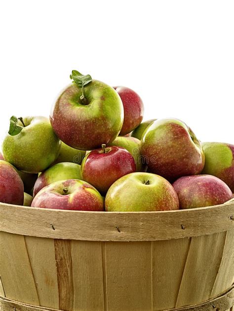 Full Basket Of Apples Stock Image Image Of Apples Pick 29645447