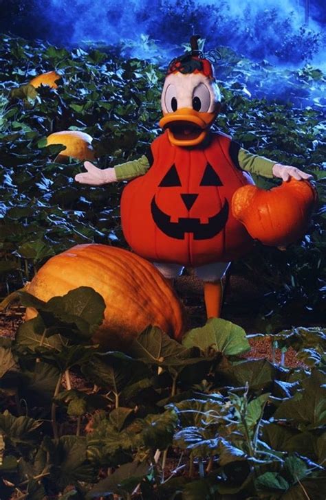 Donald Duck Pumpkin Disneyland Halloween Disney Halloween Disney