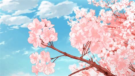 Anime Aesthetic Cherry Blossom Tree Gif Wallpaper Anime Sexiz Pix