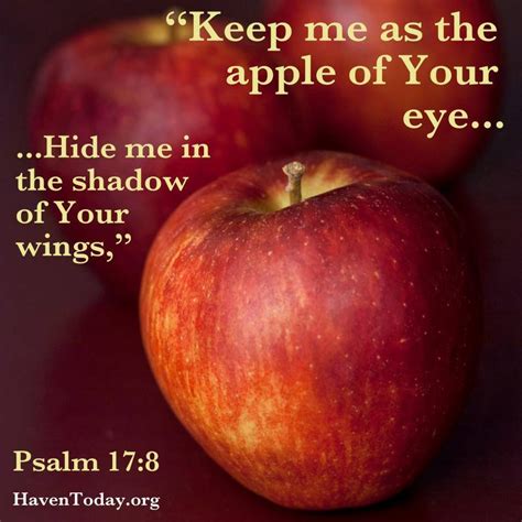 Quotes About Apples Bible