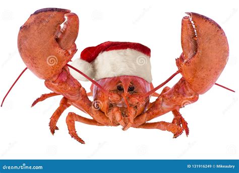 Funny Lobster For Christmas Isolated On White Background Stock Image