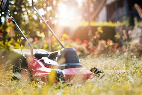 Lawn Care Tips For Cutting Grass Properly Conners Lawn Care