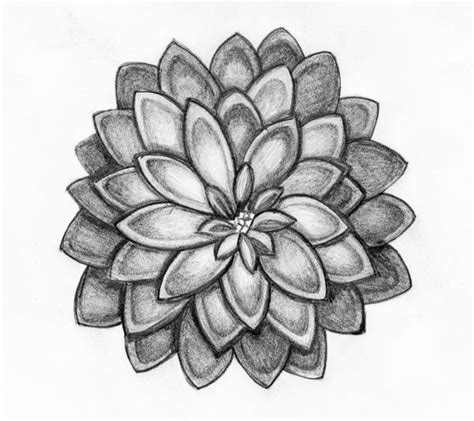 Flower Pencil Drawing Pinterest Pencildrawing2019