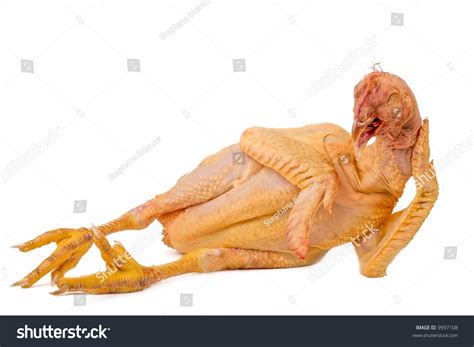 Стоковая фотография 9997108 Nude Chicken Lying Under White Background