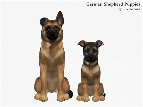 German Shepherd Puppies At Blue Ancolia Sims 4 Updates