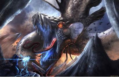 Epic Anime Wallpapers Warrior Fantasy Dragon Fight