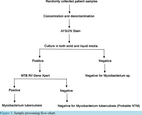 Pathophysiology Of Tuberculosis In Flow Chart Ponasa