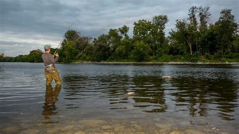 Bank Fishing For River Or Stream Smallmouths