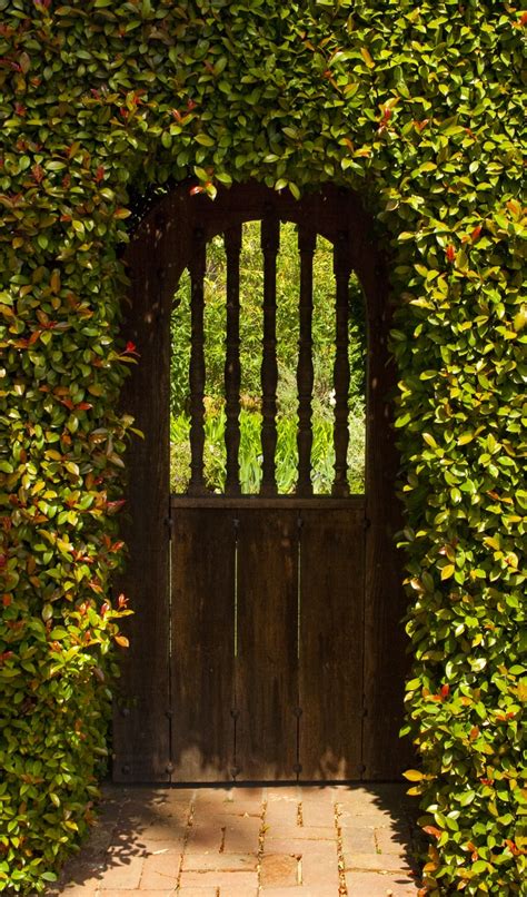17 Best Images About Garden Gates On Pinterest Gardens Privacy