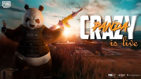 Come On Live Crazy Panda Gaming Road To 90k Youtube