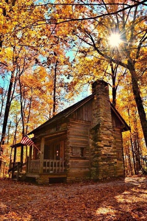 How To Build A Tiny Off Grid Cabin For 2k American Patriot