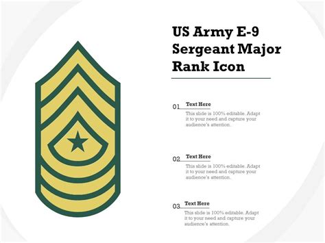 Army Command Sergeant Major Gold Collar Rank Insignia