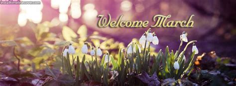 Welcome March Flower Field Facebook Cover Wallpaper Iphone Christmas