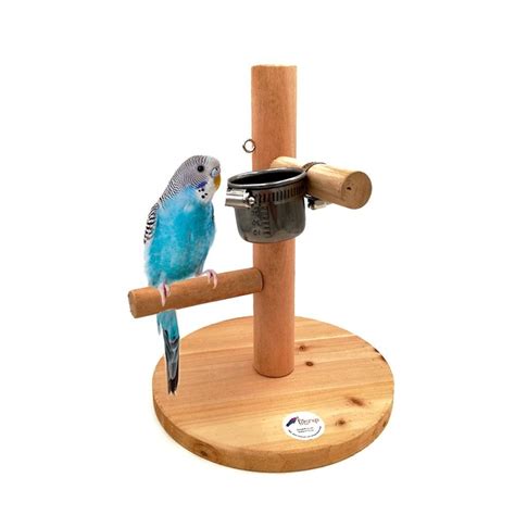 Borange Bird Playstand Wood Training Perch Parrot Wooden Platform Stand