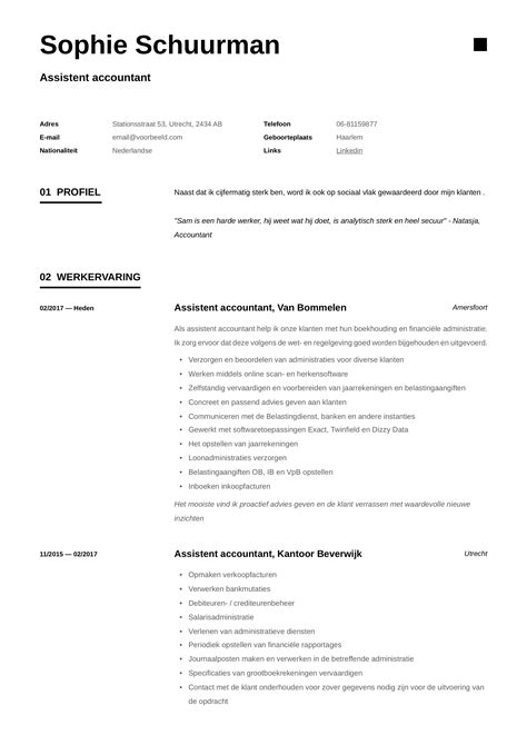 Assistent Accountant CV Handleiding 12 CV S In PDF En JOG