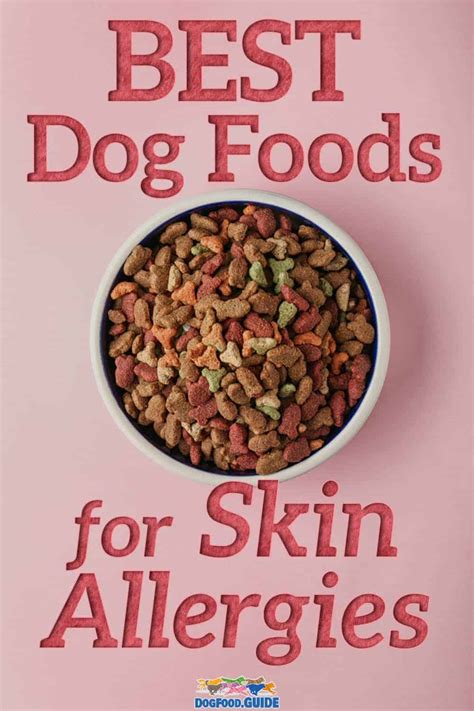 Best Dog Food For Skin Allergies 12 Meals For Sensitive Pups