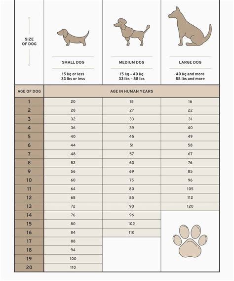 Dog Age Chart To See How Old Your Pup Really Is
