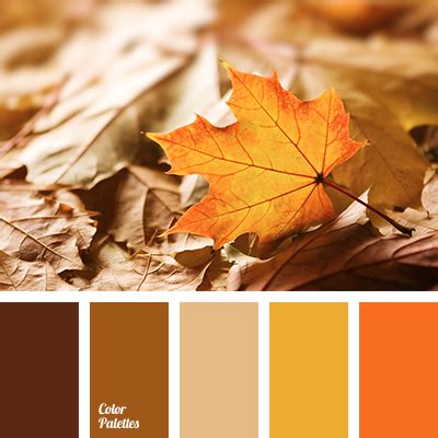 Colour Of Hazelnuts Color Palette Ideas