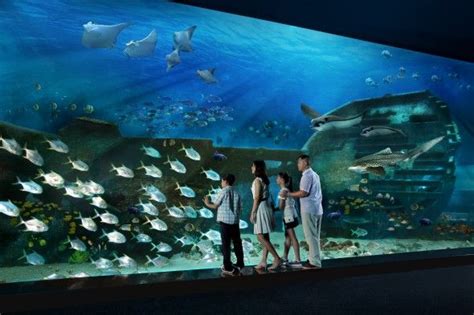 Marine Life Park Resorts World Sentosa Universal Studios Singapore