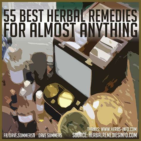55 Best Herbal Remedies Herbalism Herbal Remedies Remedies