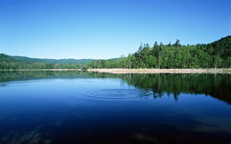 Green Trees Trees Reflection Lake Water Hd Wallpaper Wallpaper Flare