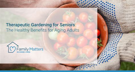 Therapeutic Gardening For Seniors The Healthy Benefits For Garden Therapy