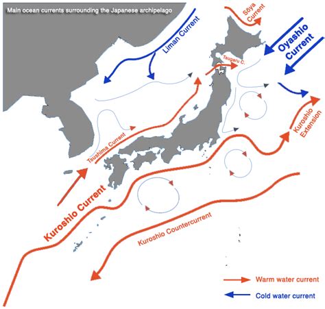 Currents Of Japan Blue Japan