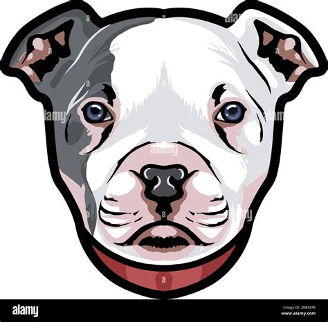 Pitbull Face Illustration Wild Face Vector Stock Vector Image And Art