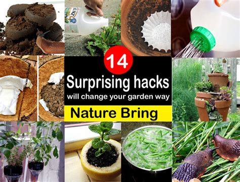 14 gardening hacks are useful for your smart gardening garden hacks