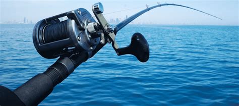 Best Surf Fishing Rods Reviews With Buying Guide