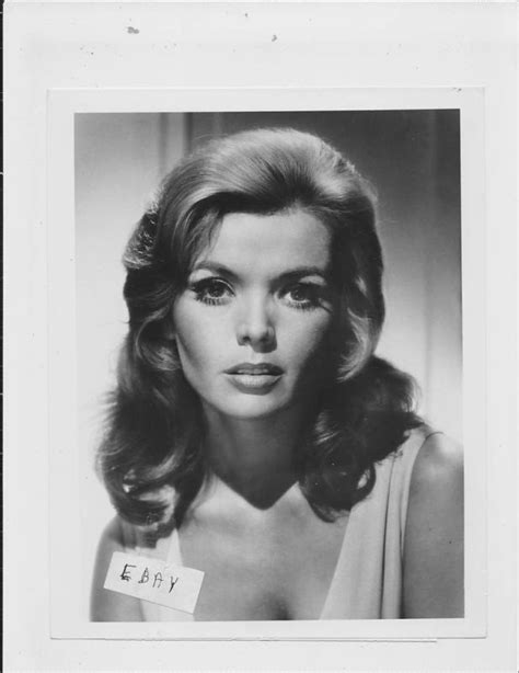 Deanna Lund Sexy VINTAGE Photo Land Of The Giants EBay