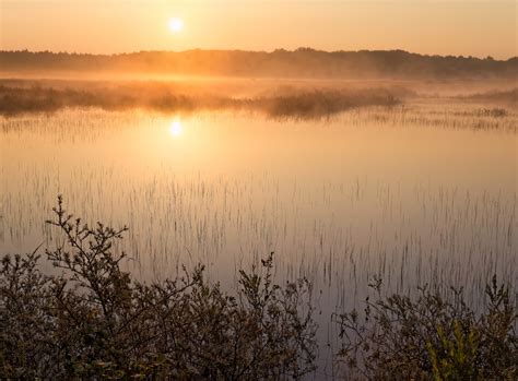 Morning Mists Of Summer Stan Schaap Photography