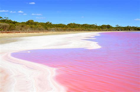 Conheça O Lago Cor De Rosa Na Austrália Mala De Aventuras