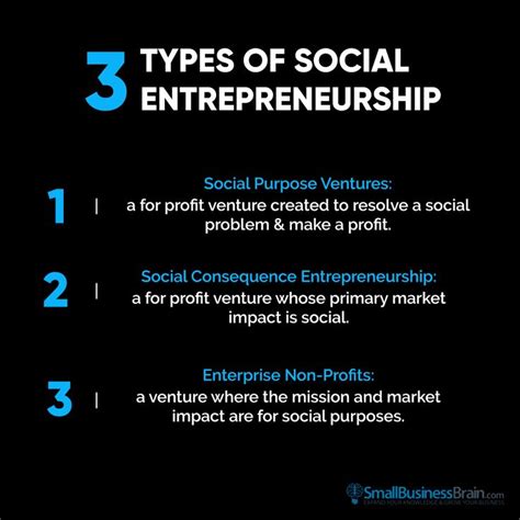 3 Types Of Social Entrepreneurship Social Entrepreneurship Social